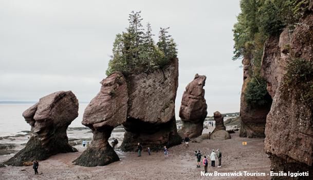 Hopewell Rocks Park